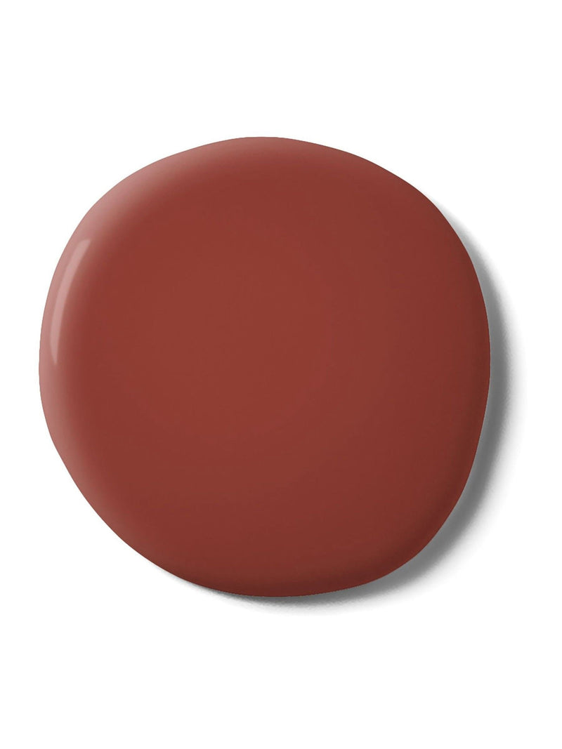 Graham & Brown Vampire Resistance Matt Emulsion Paint, UK version