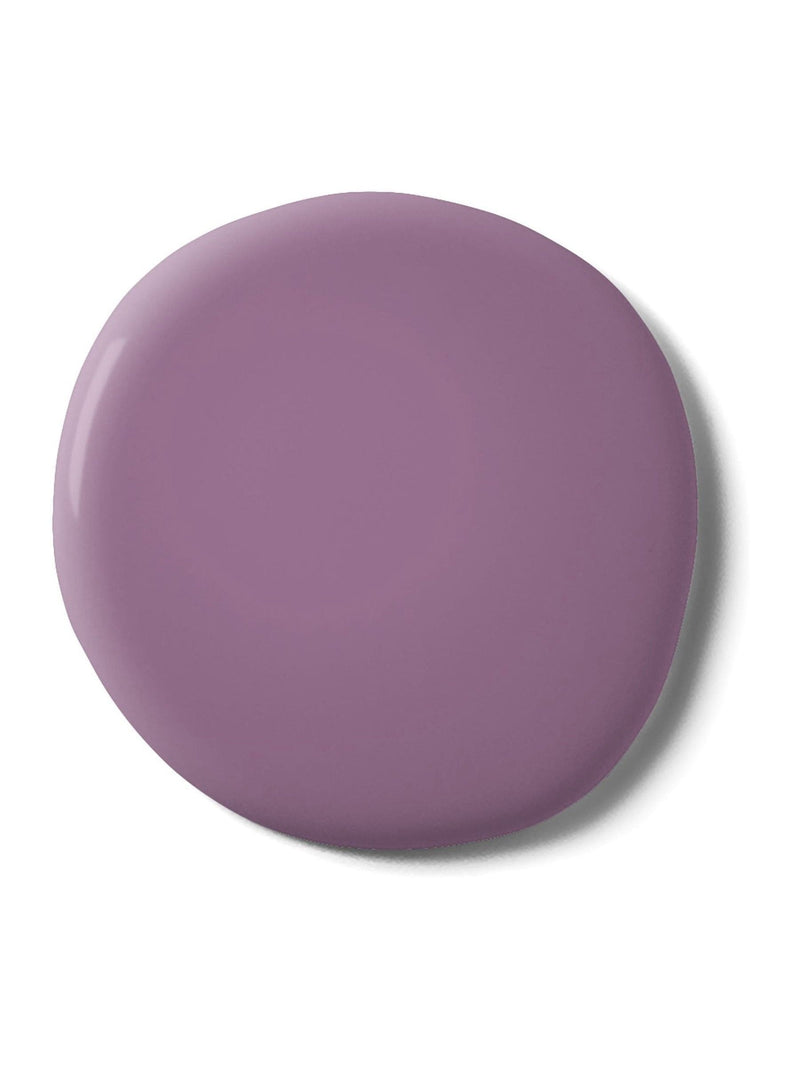 Graham & Brown Sleepless Resistance matt emulsion paint, imported from the UK