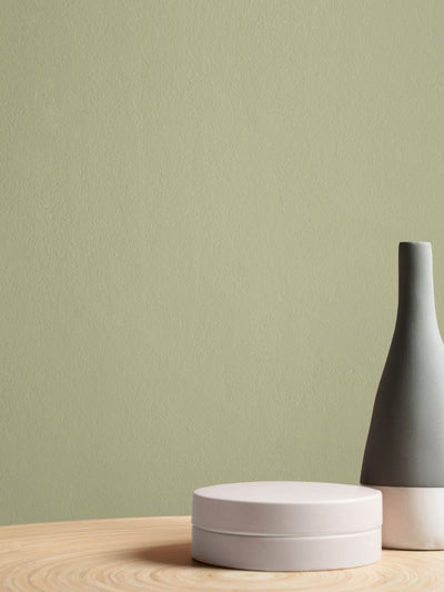 Next Graham & Brown Viridis Resistance Matt Emulsion Paint- Buy online at McGrocer