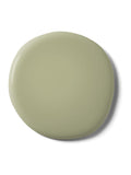 Graham & Brown Viridis Resistance matt emulsion paint, imported from the UK
