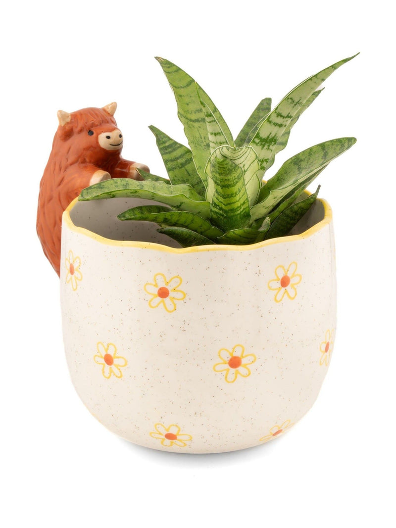 Sass & Belle porcelain planter brown highland cow 13cm, UK version