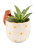 Sass & Belle porcelain planter brown highland cow 13cm, UK version