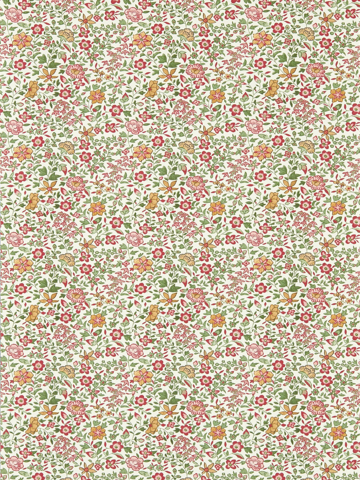 Clarke and Clarke Gamthi A4 wallpaper sample - British product