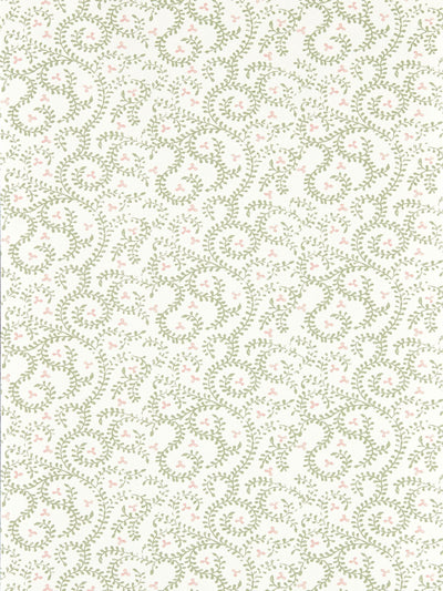 Next Clarke and Clarke Buta Indira Wallpaper Sample Sage A4- Buy online at McGrocer