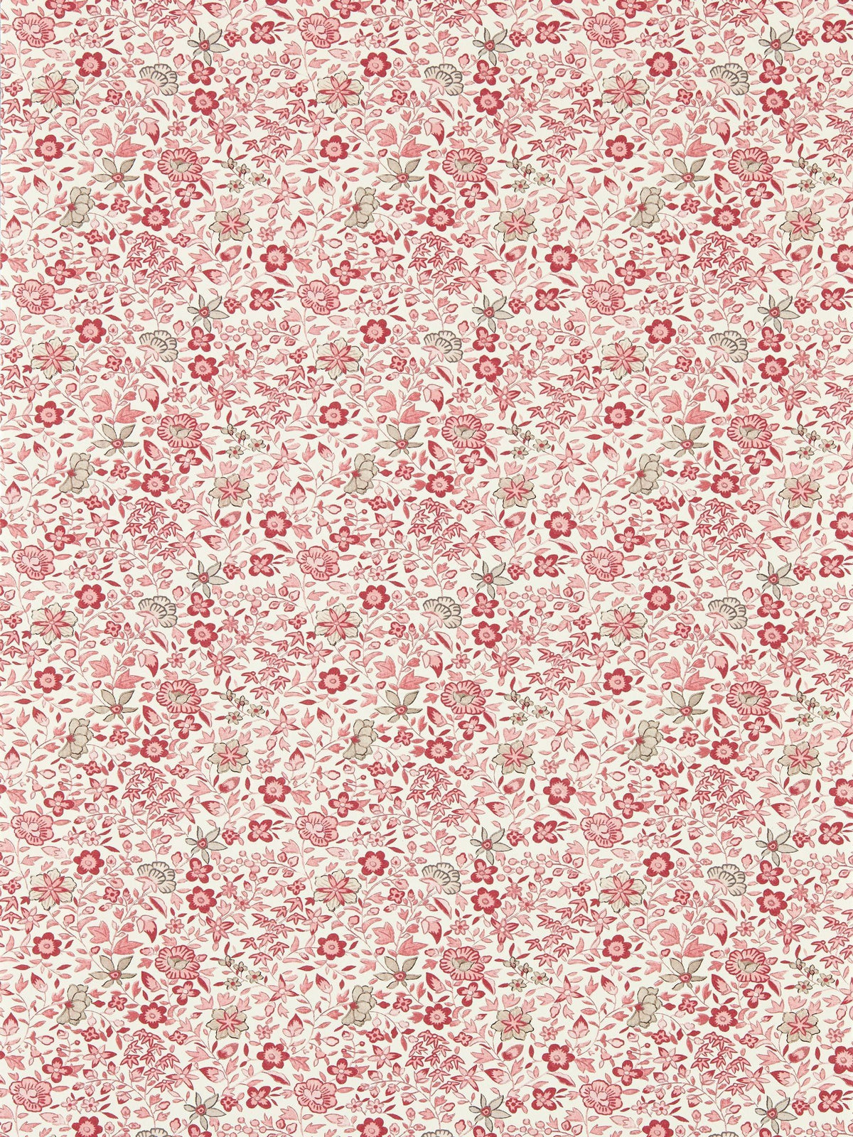 Clarke and Clarke Blush Gamthi wallpaper sample A4 (British brand)