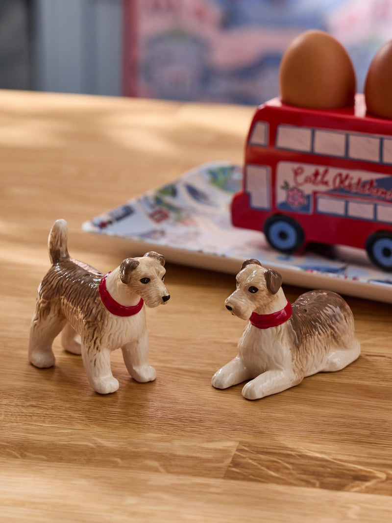 Cath Kidston salt and pepper shakers ONE (British brand)