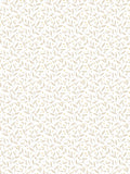 Hoopla Walls Stone Dotty Vine 10M Wallpaper