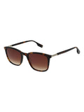 Ted Baker Brown Filip 1816 Sunglasses