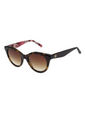 Ted Baker Brown Maja 1810 Sunglasses