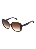 Ted Baker Brown/Animal Emilia 1811 Sunglasses