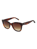 Ted Baker brown/red tortoiseshell Ariela 1808 sunglasses (British brand)