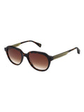 Ted Baker Brown Christoph 1798 Sunglasses