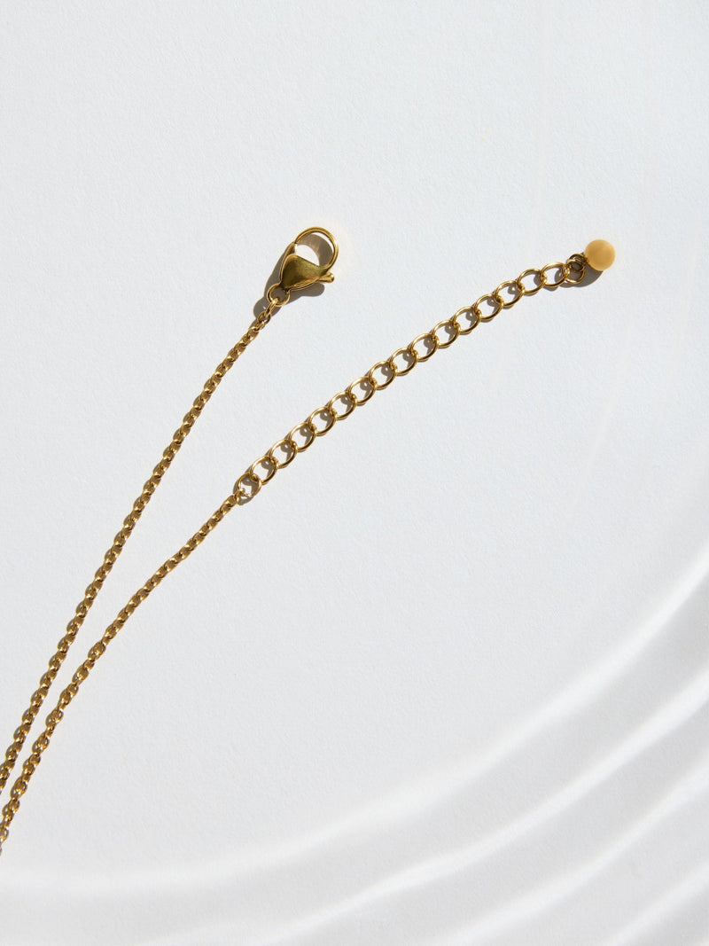 Gold tone stainless steel long pendant necklace (British brand)