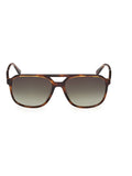 GANT brown acetate sunglasses, imported from the UK