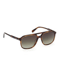 GANT brown acetate sunglasses, imported from the UK