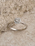 The Diamond Store engagement ring 0.20ct lab diamond halo pavé (British brand)