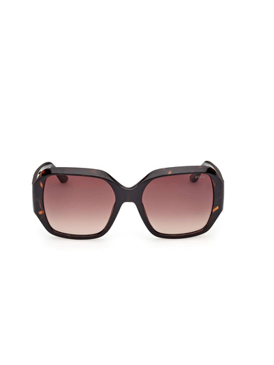 Next Guess Brown Injected Sunglasses- Buy online at McGrocer