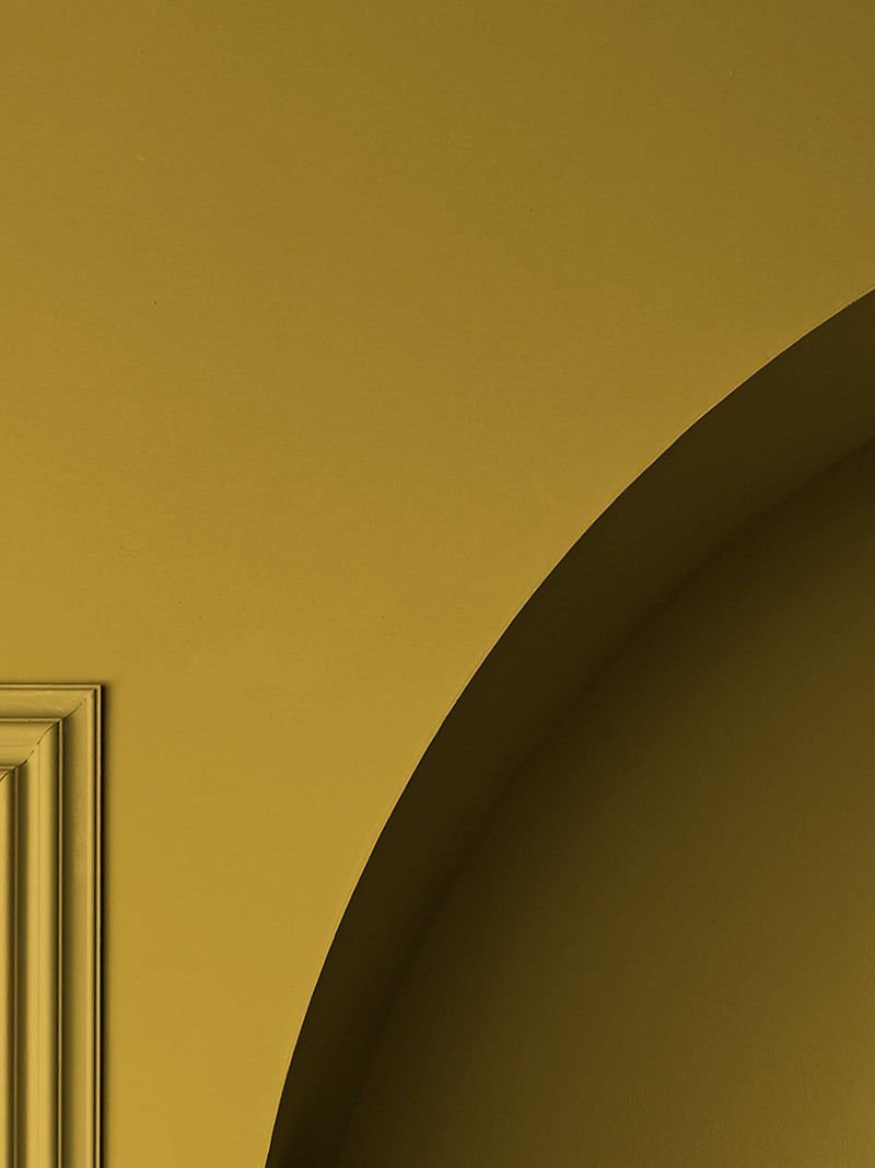 Graham & Brown Acacia Resistance Matt Emulsion Paint (British brand)