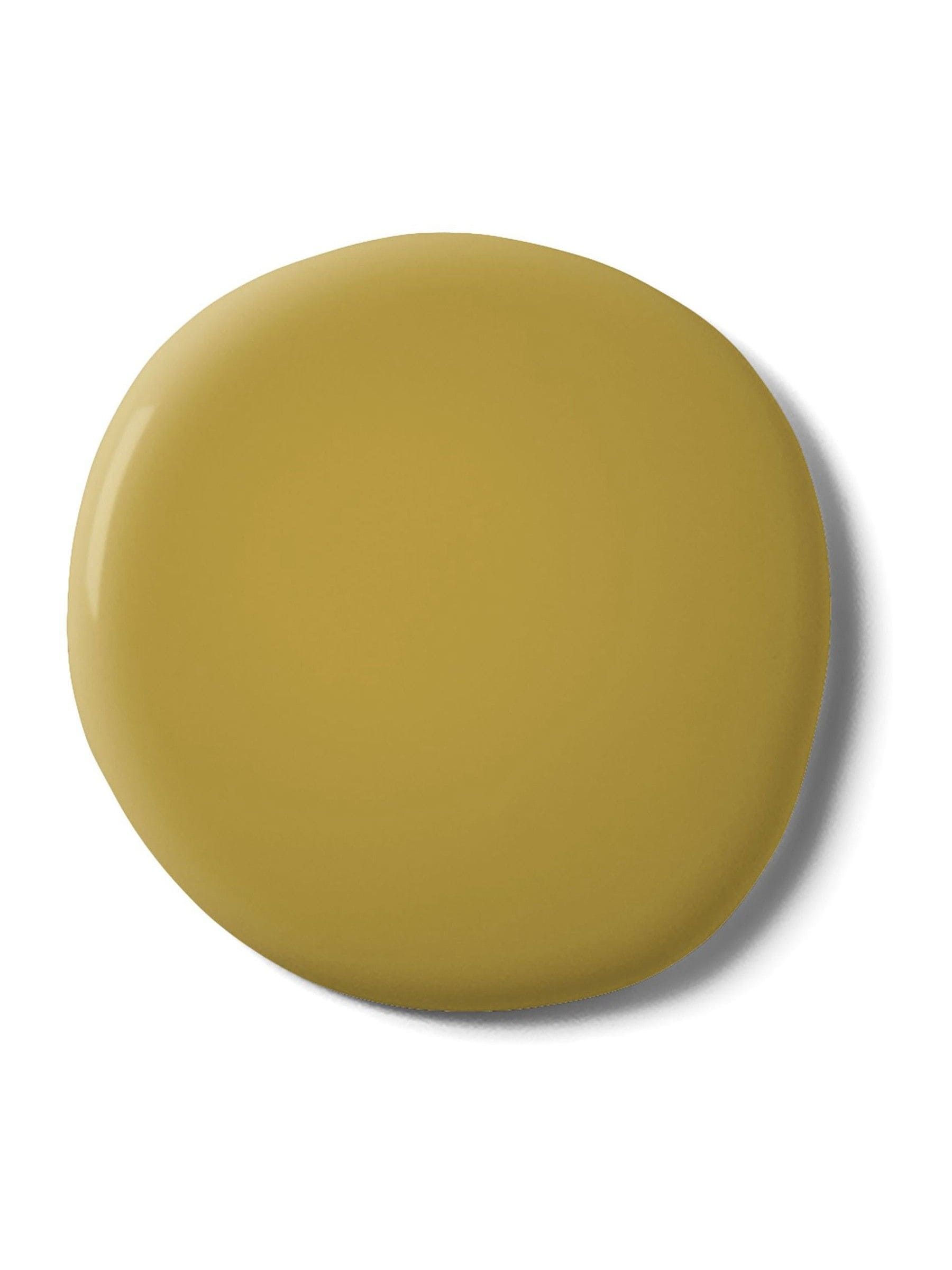 Graham & Brown Acacia Resistance Matt Emulsion Paint (British brand)