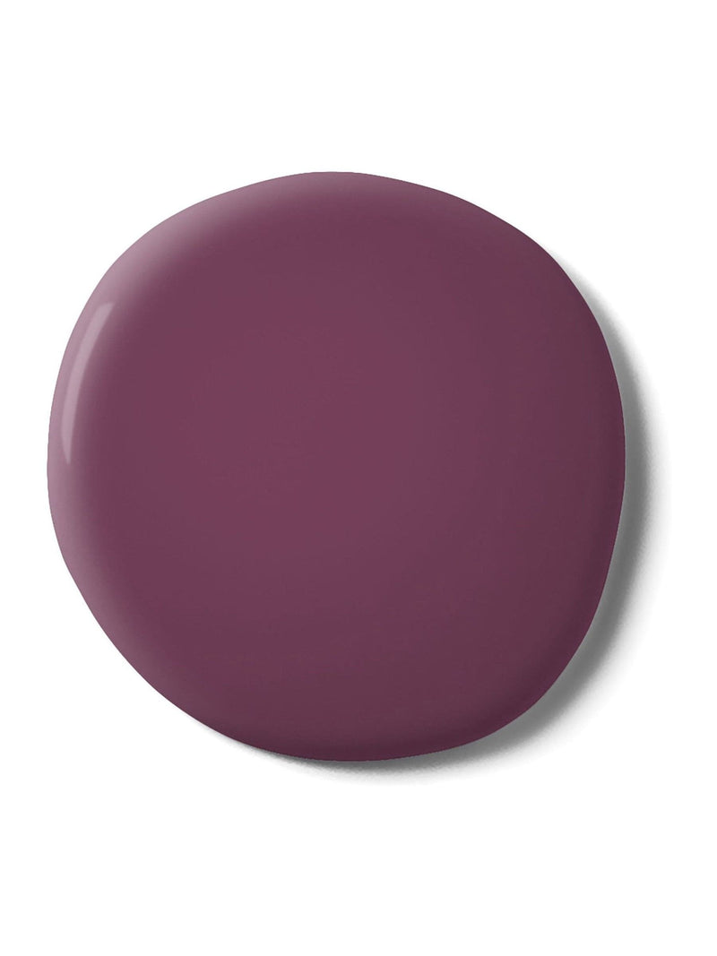 Graham & Brown Nightshade matt emulsion paint - British product