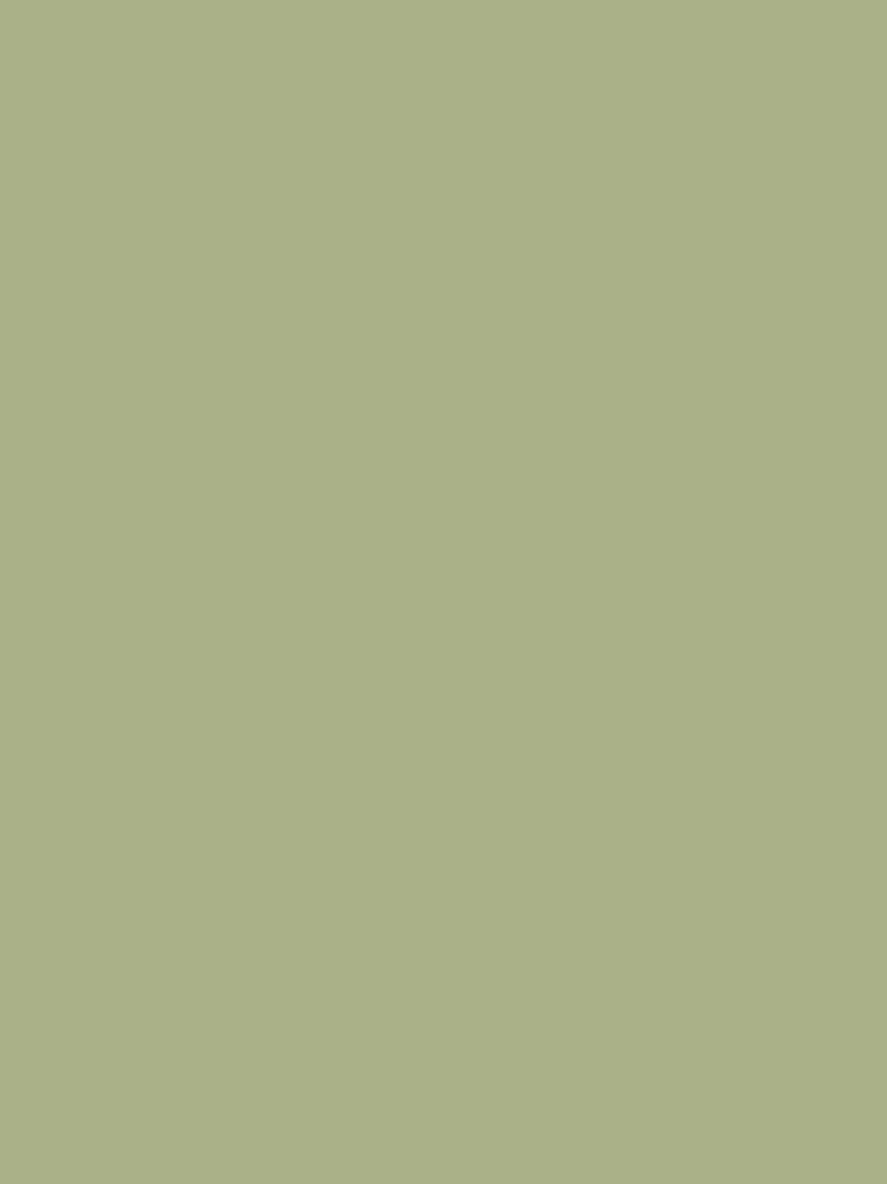 Graham & Brown So Swamped matt emulsion paint (British brand)