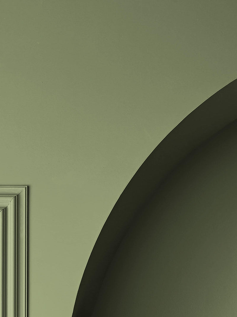 Graham & Brown So Swamped matt emulsion paint (British brand)