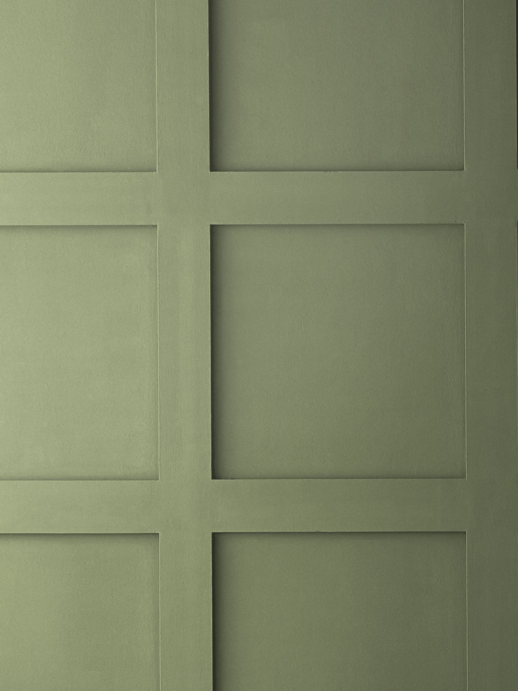 Graham & Brown So Swamped matt emulsion paint (British brand)