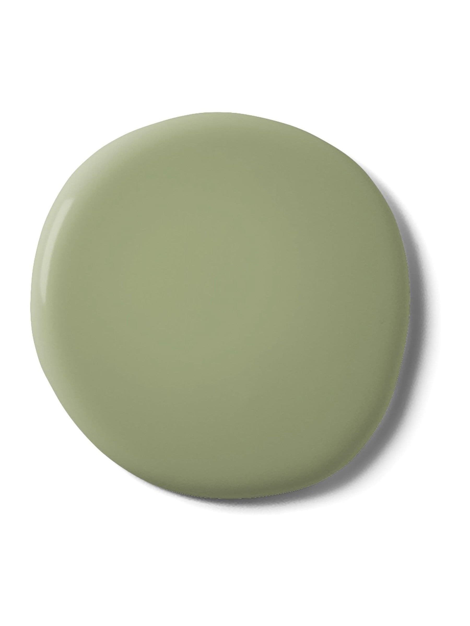Graham & Brown So Swamped matt emulsion paint (British brand)