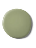 Graham & Brown So Swamped matt emulsion paint (British brand)