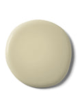 Graham & Brown sand resistance matt emulsion paint (British brand)