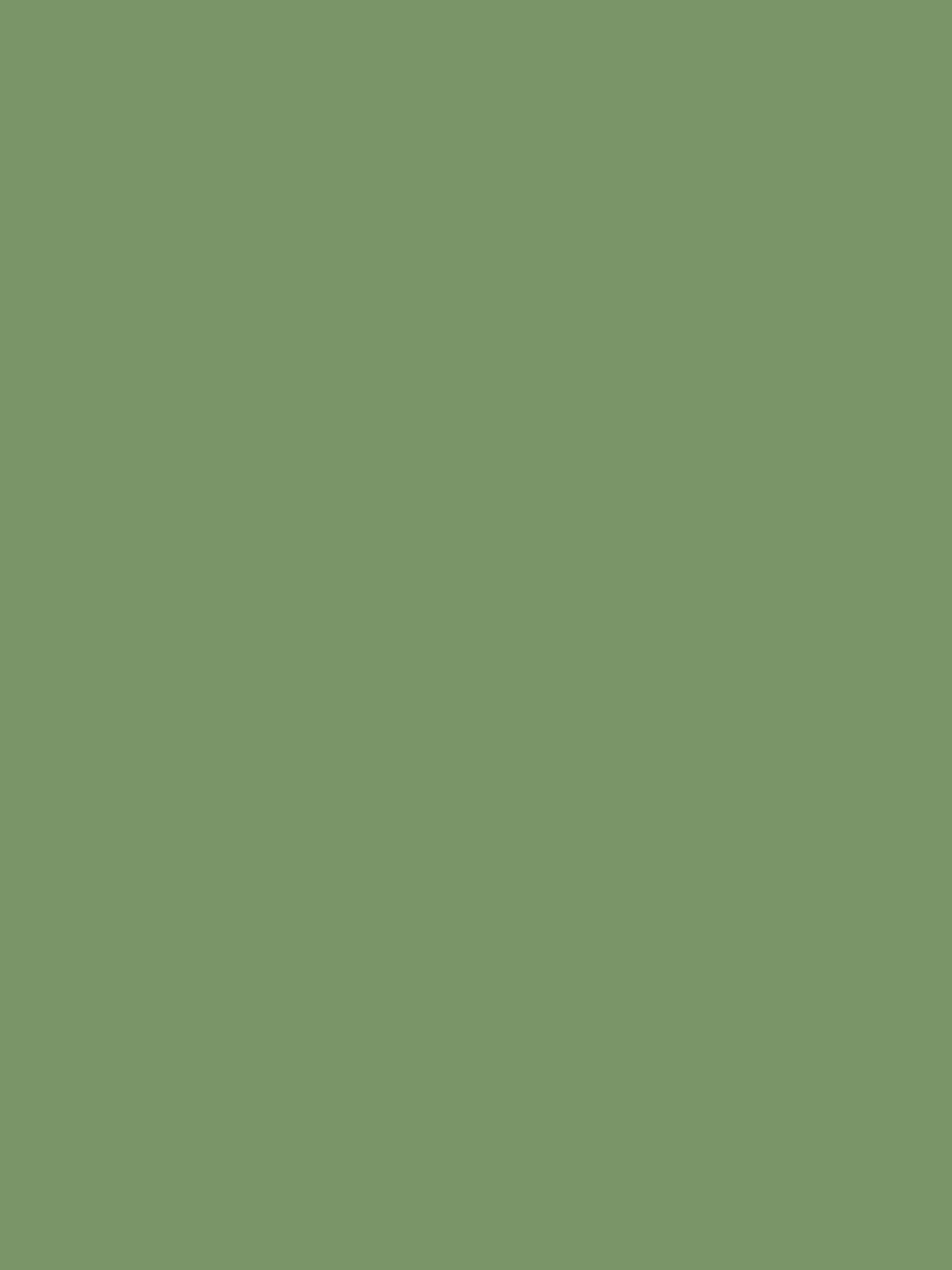 Graham & Brown Ecuador matt emulsion paint - British product