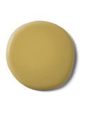 Graham & Brown Funkytown emulsion paint, imported from the UK