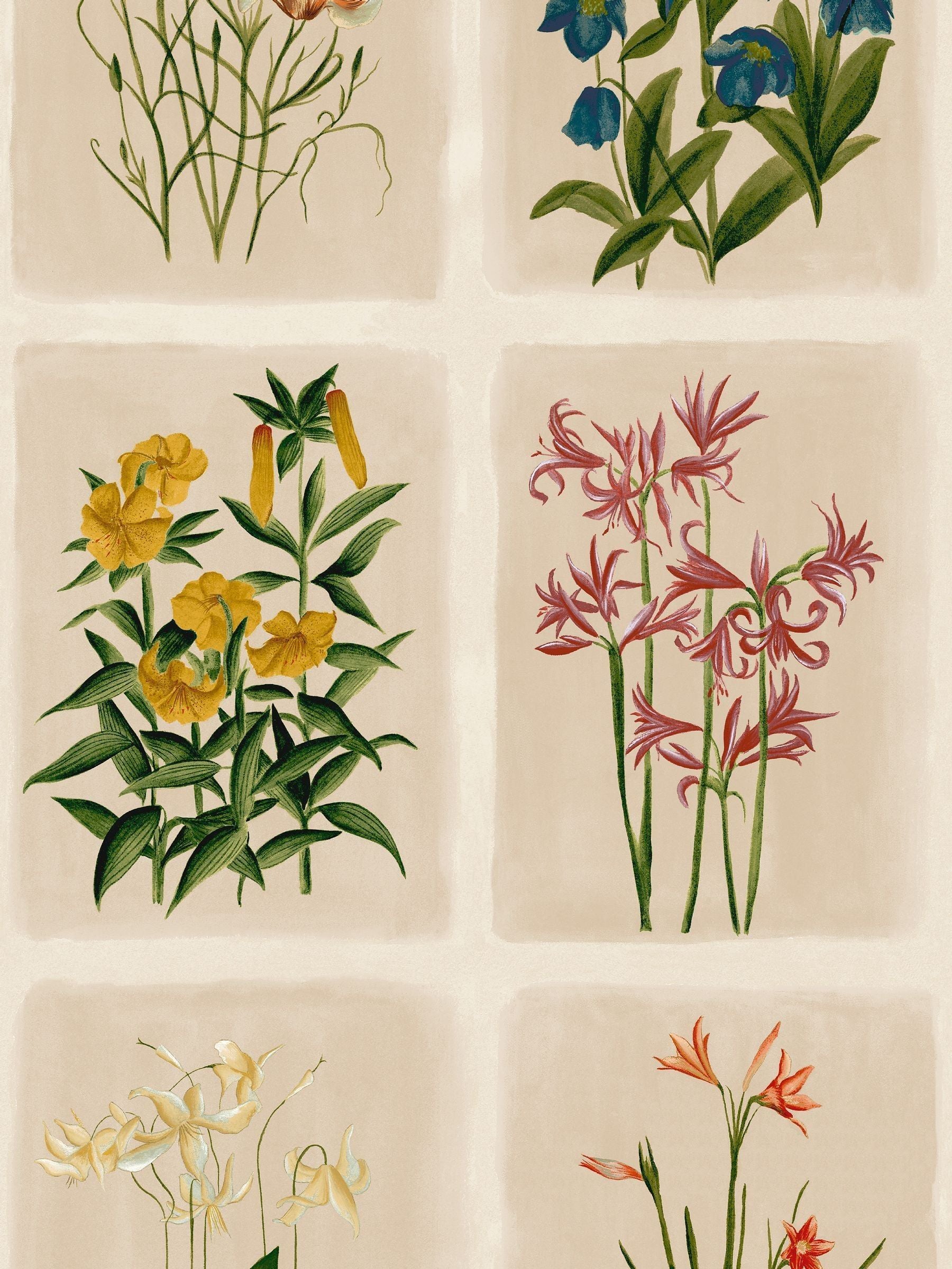 Laura Ashley Linen Pershore Postcards wallpaper 10m roll, imported from the UK