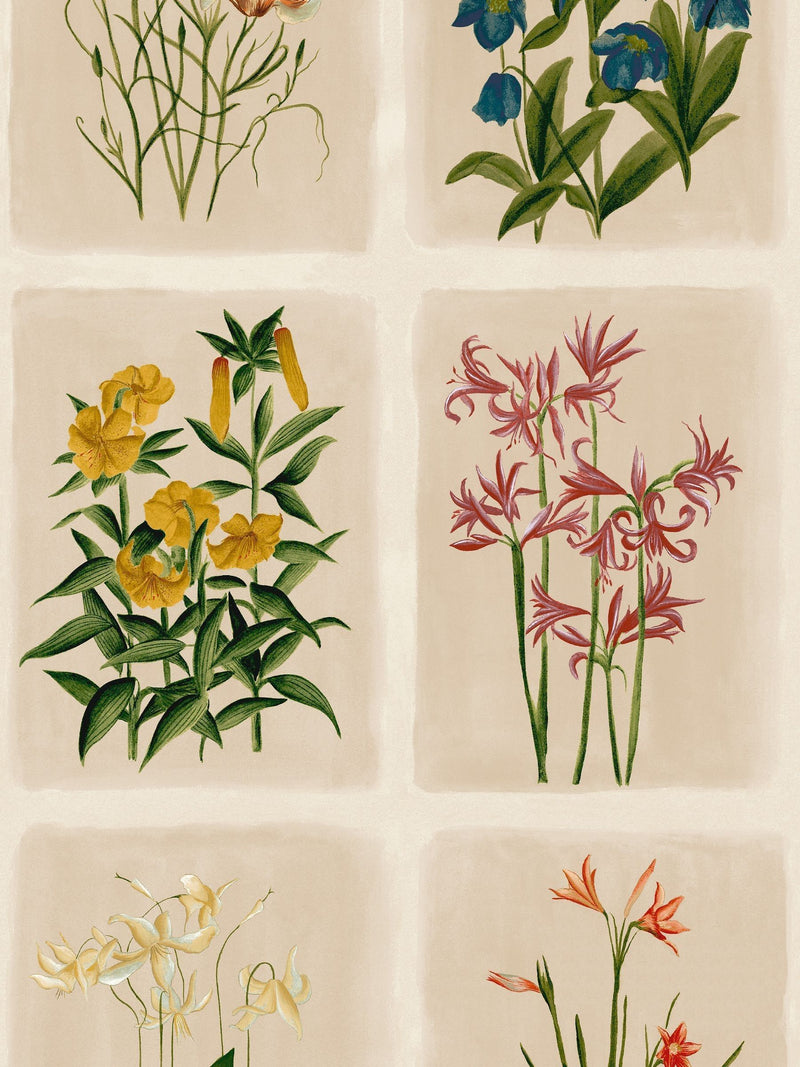 Laura Ashley Linen Pershore Postcards wallpaper 10m roll, imported from the UK
