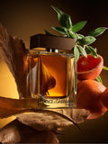 Dolce&Gabbana The One Pour Homme Eau De Parfum 100ml