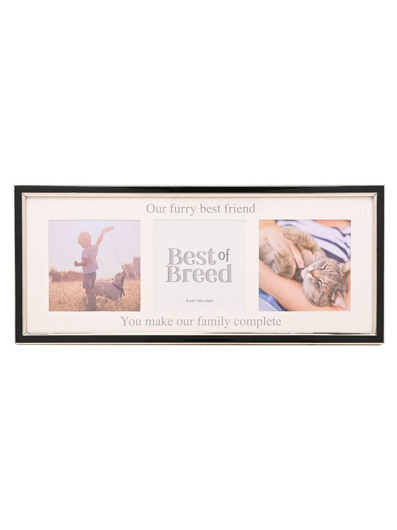 Widdop white paw print photo frame with ink pad (British brand)