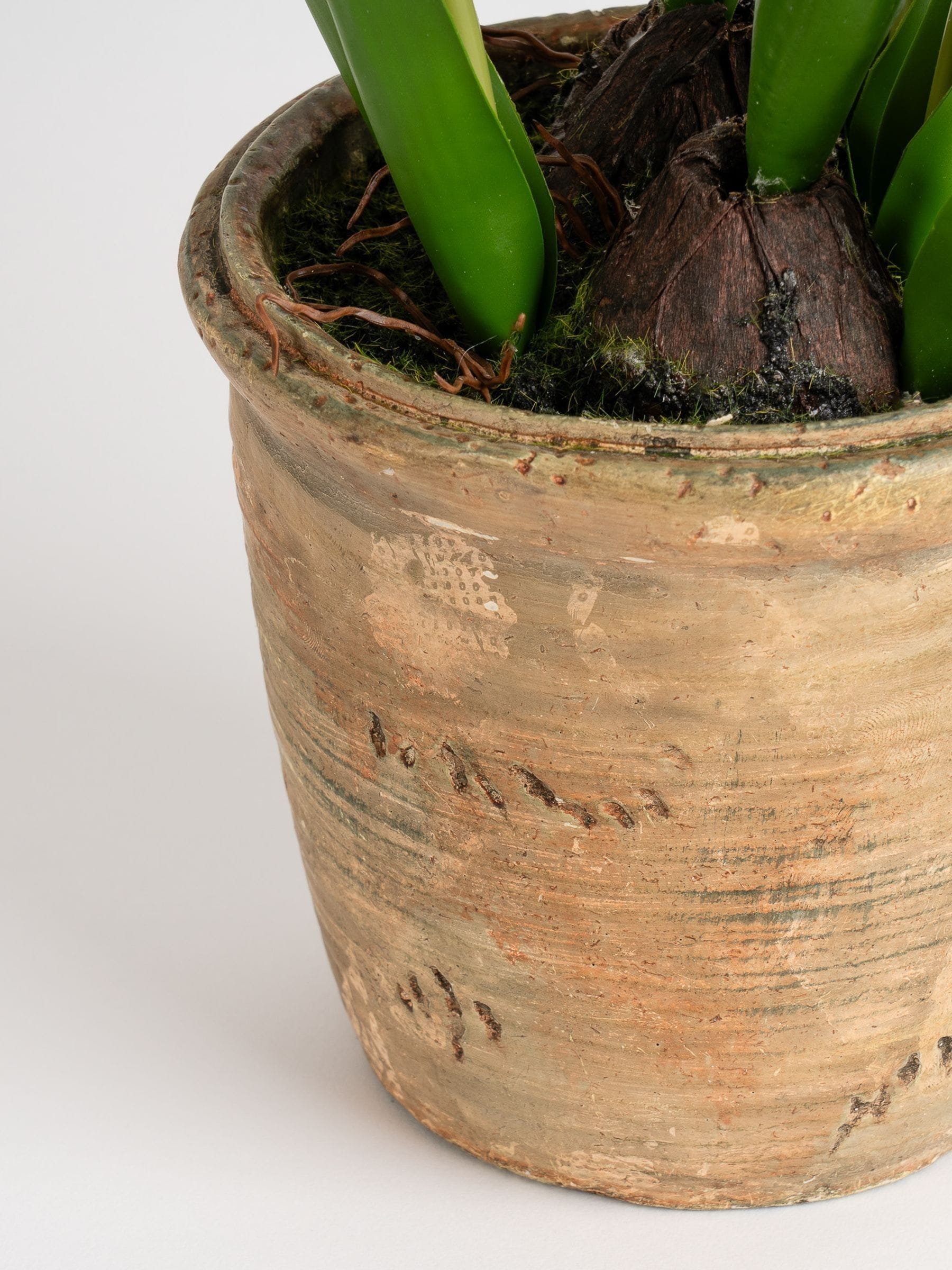 Scottish Everlastings white faux tulip spray in pot, imported from the UK