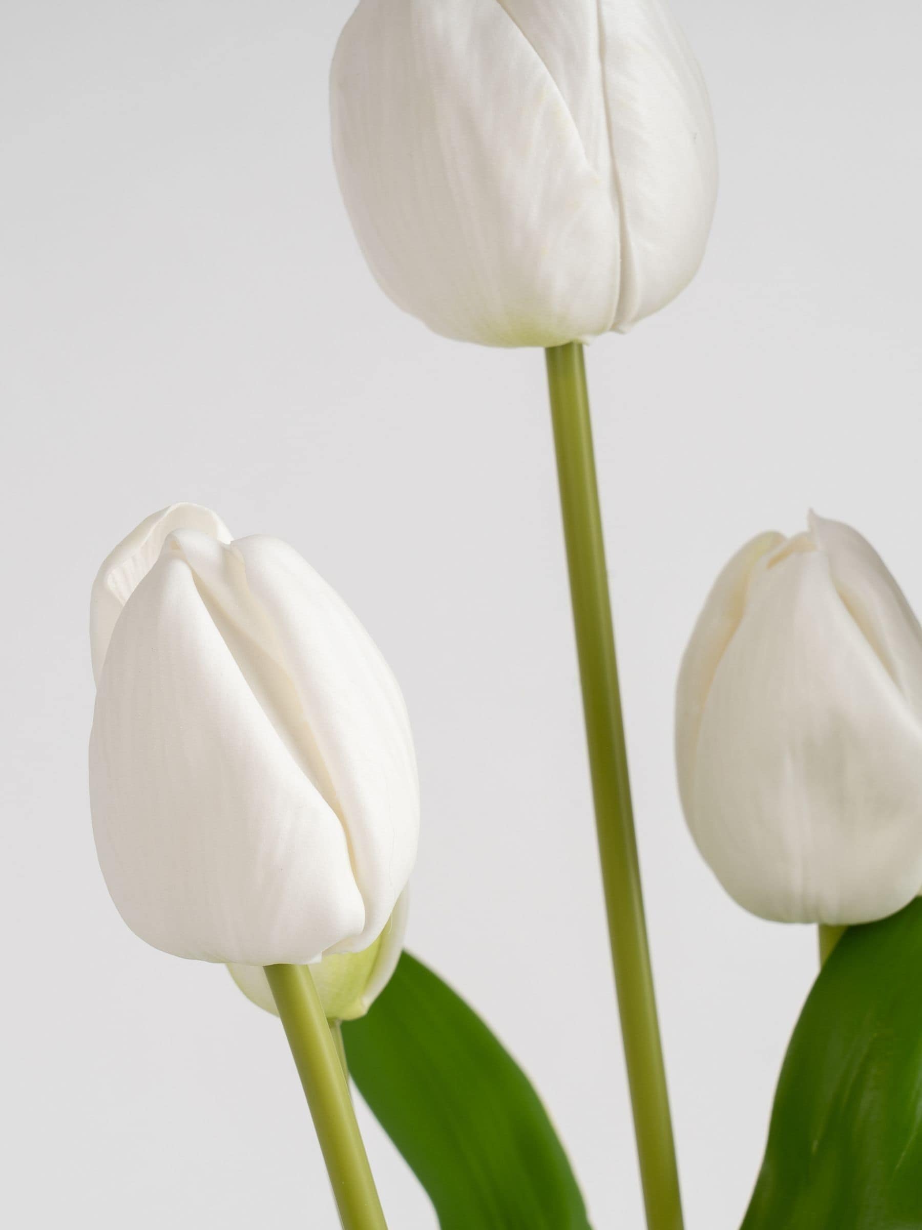 Scottish Everlastings white faux tulip spray in pot, imported from the UK