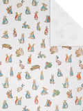 Hallmark Peter Rabbit wrapping paper 3 rolls imported from the UK