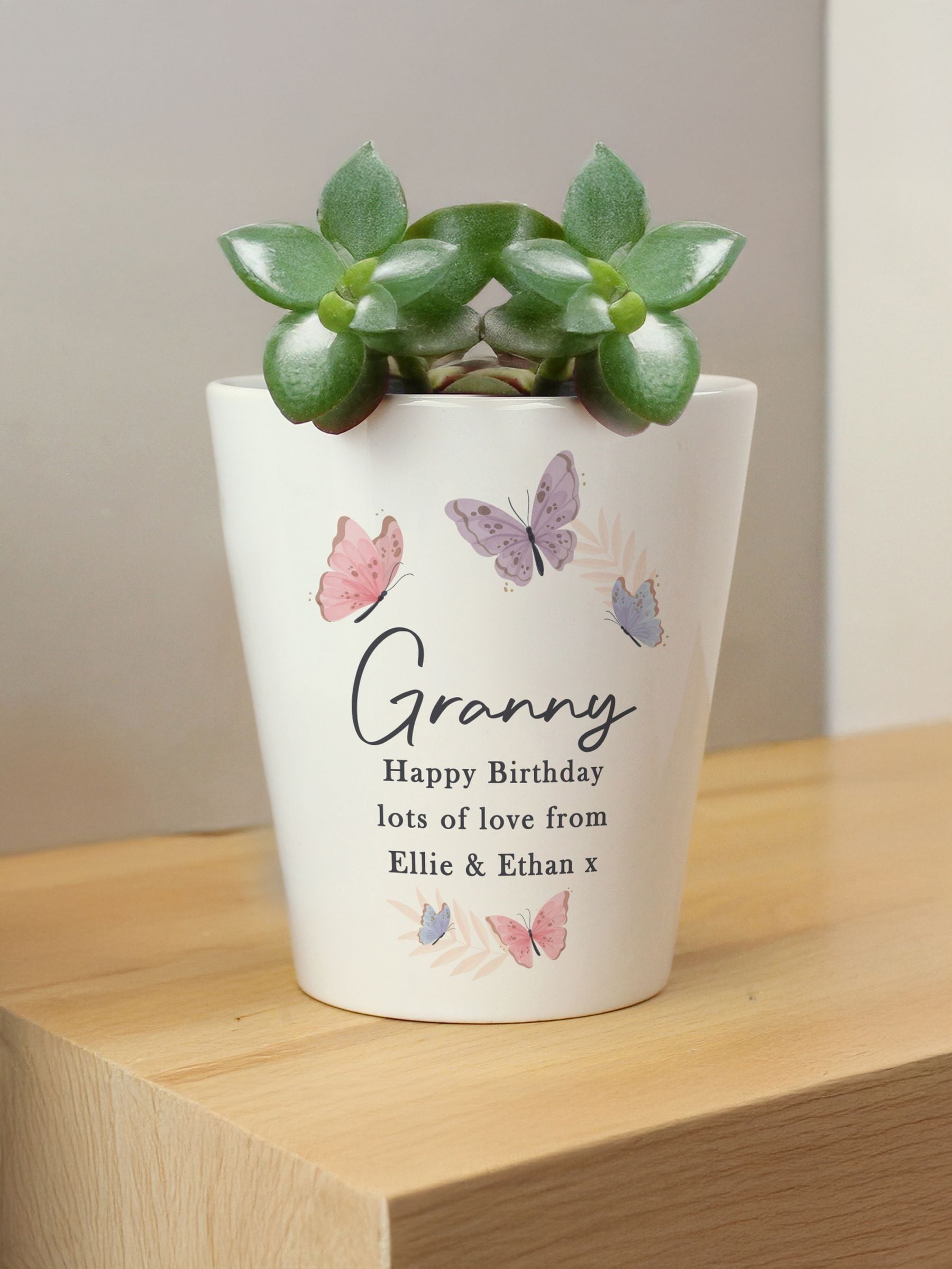 PMC personalised butterfly ceramic plant pot, imported from the UK