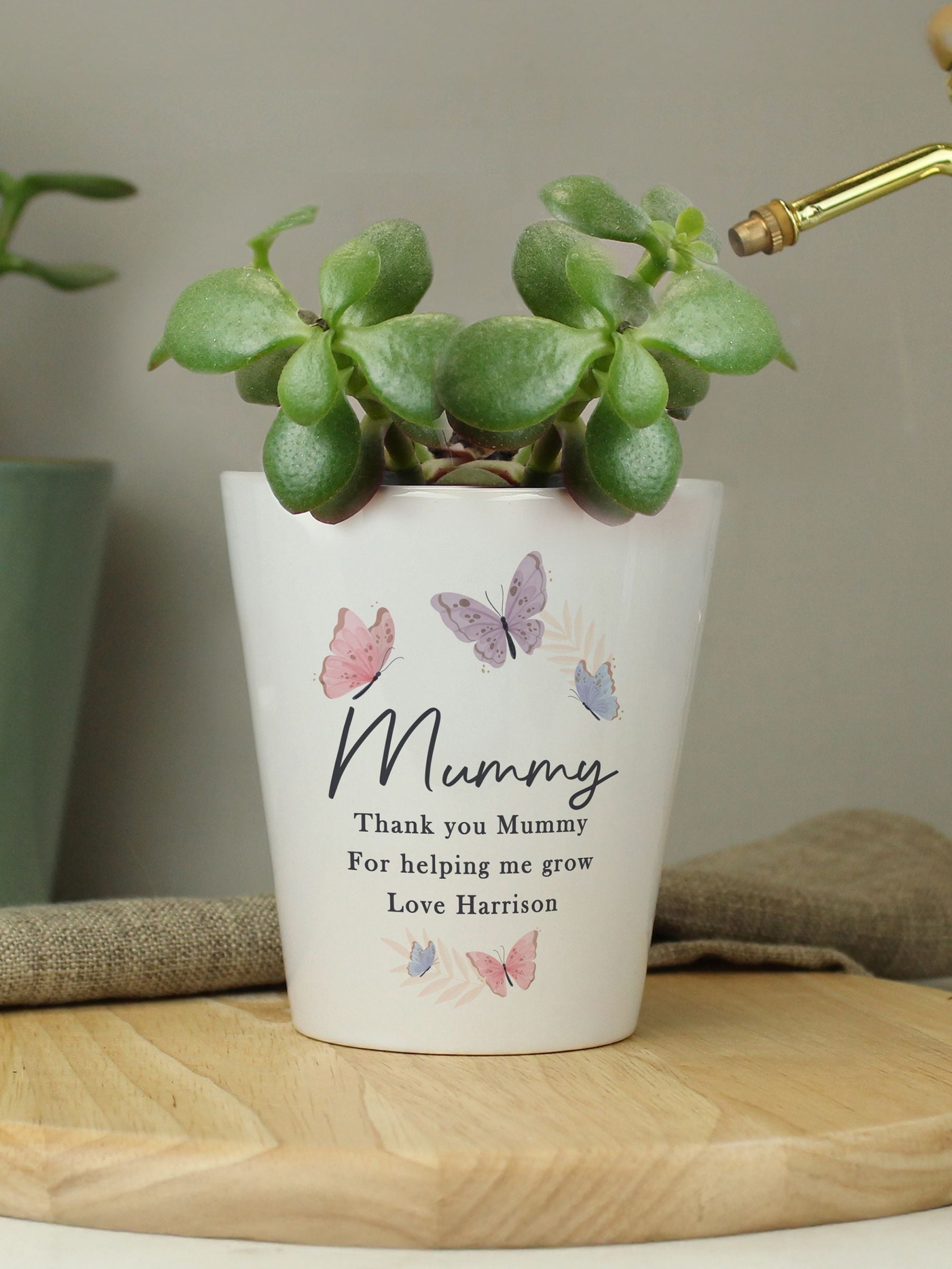 PMC personalised butterfly ceramic plant pot, imported from the UK