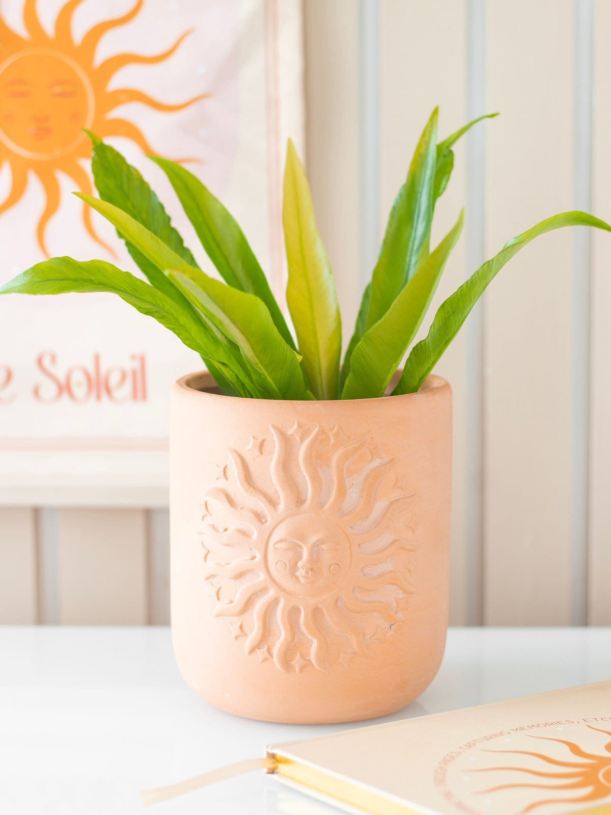 Something Different Orange Terracotta Sun Plant Pot, UK version