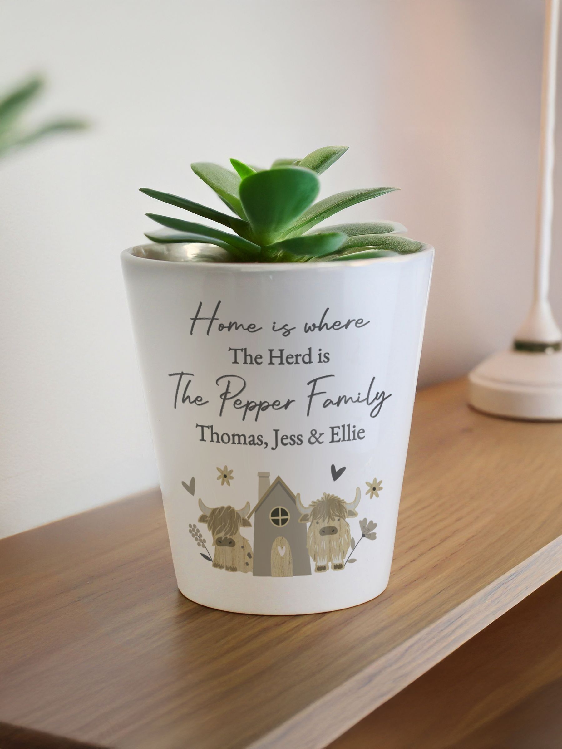 PMC Highland Cow ceramic plant pot 10 cm, UK version