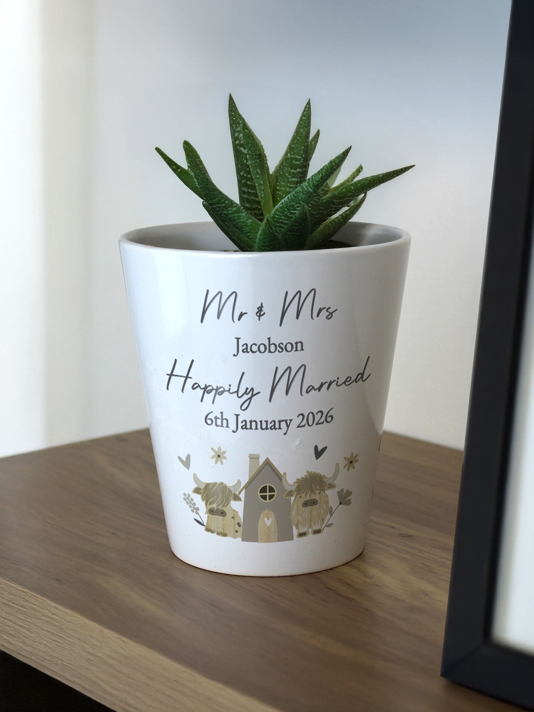 PMC Highland Cow ceramic plant pot 10 cm, UK version