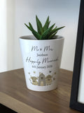 PMC Highland Cow ceramic plant pot 10 cm, UK version