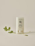 Beauty of Joseon matte sun stick SPF50 18g, UK version