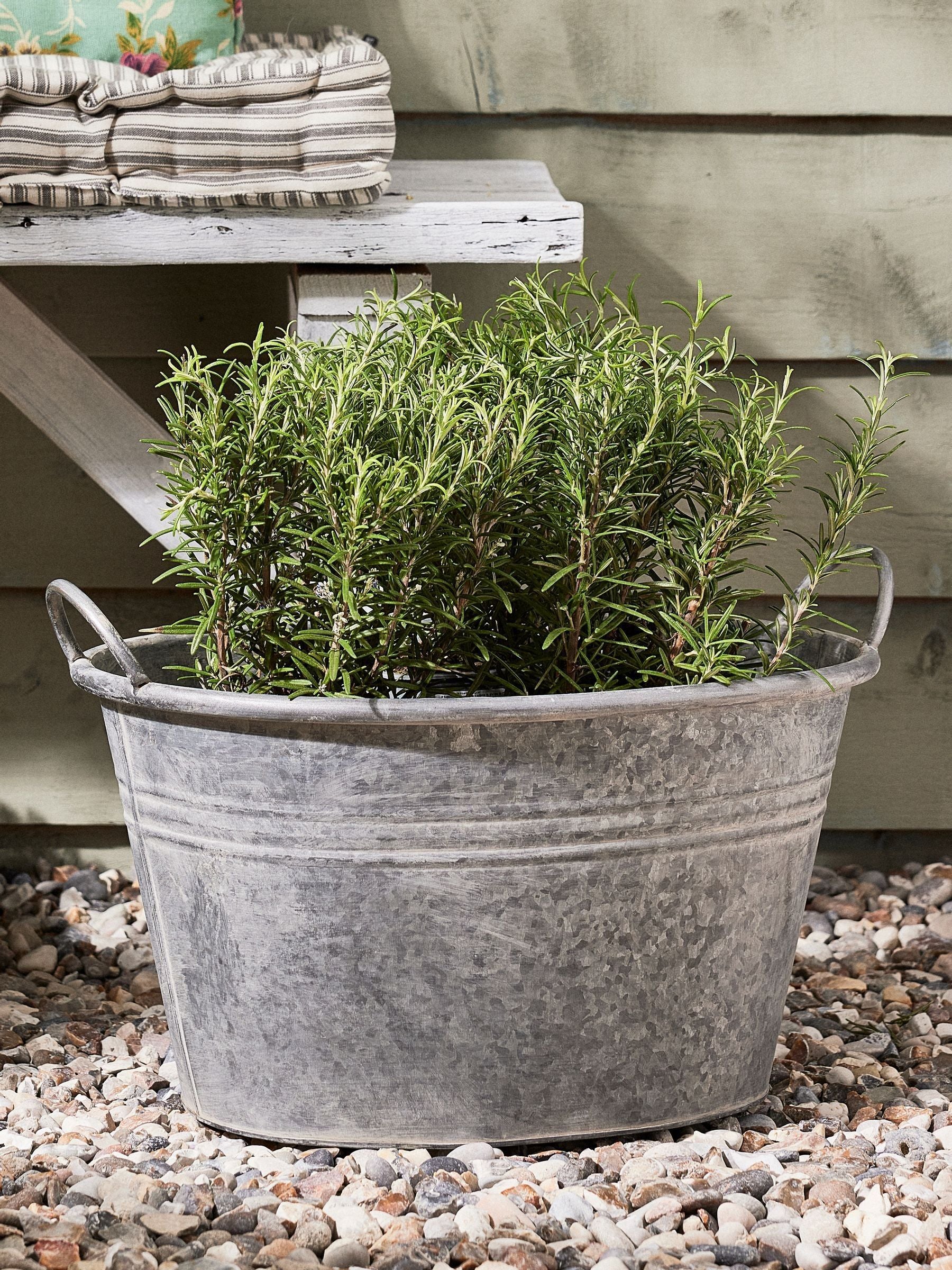 Dibor Silver Galvanised Tub Planter, imported from the UK