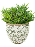 Dibor green botanical ceramic plant pot - British product