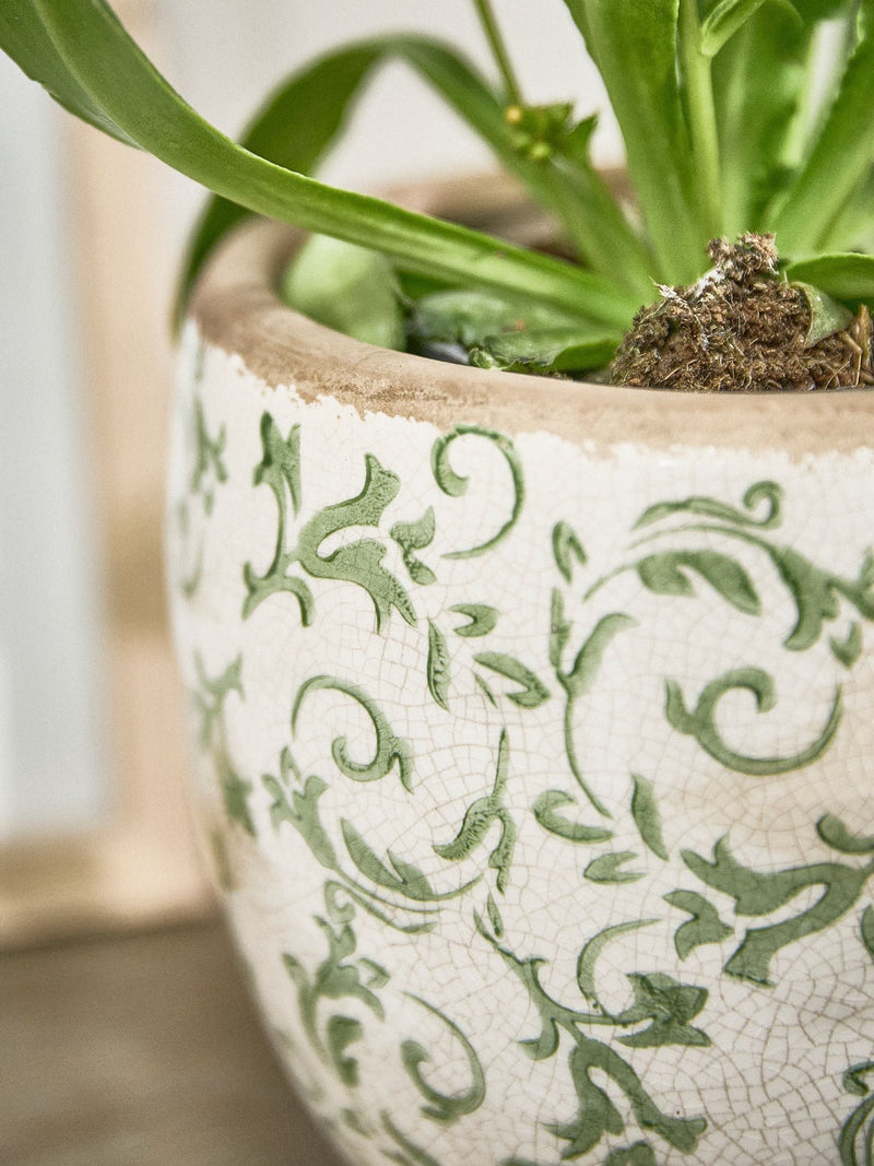 Dibor green botanical ceramic plant pot - British product