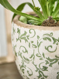 Dibor green botanical ceramic plant pot - British product
